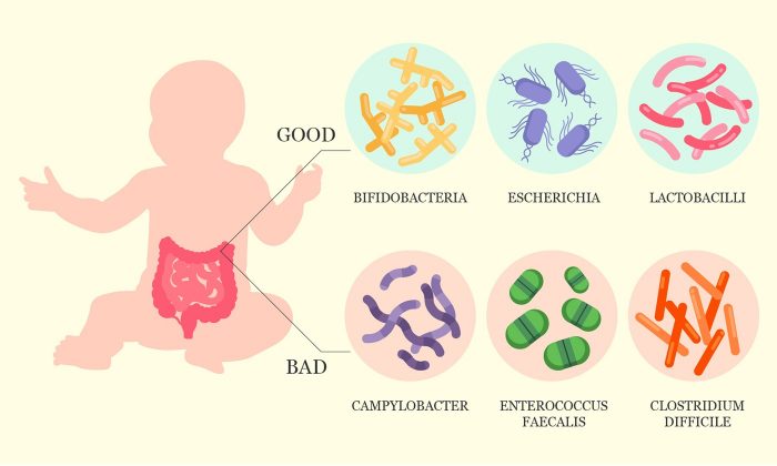 giant microbes celiac disease